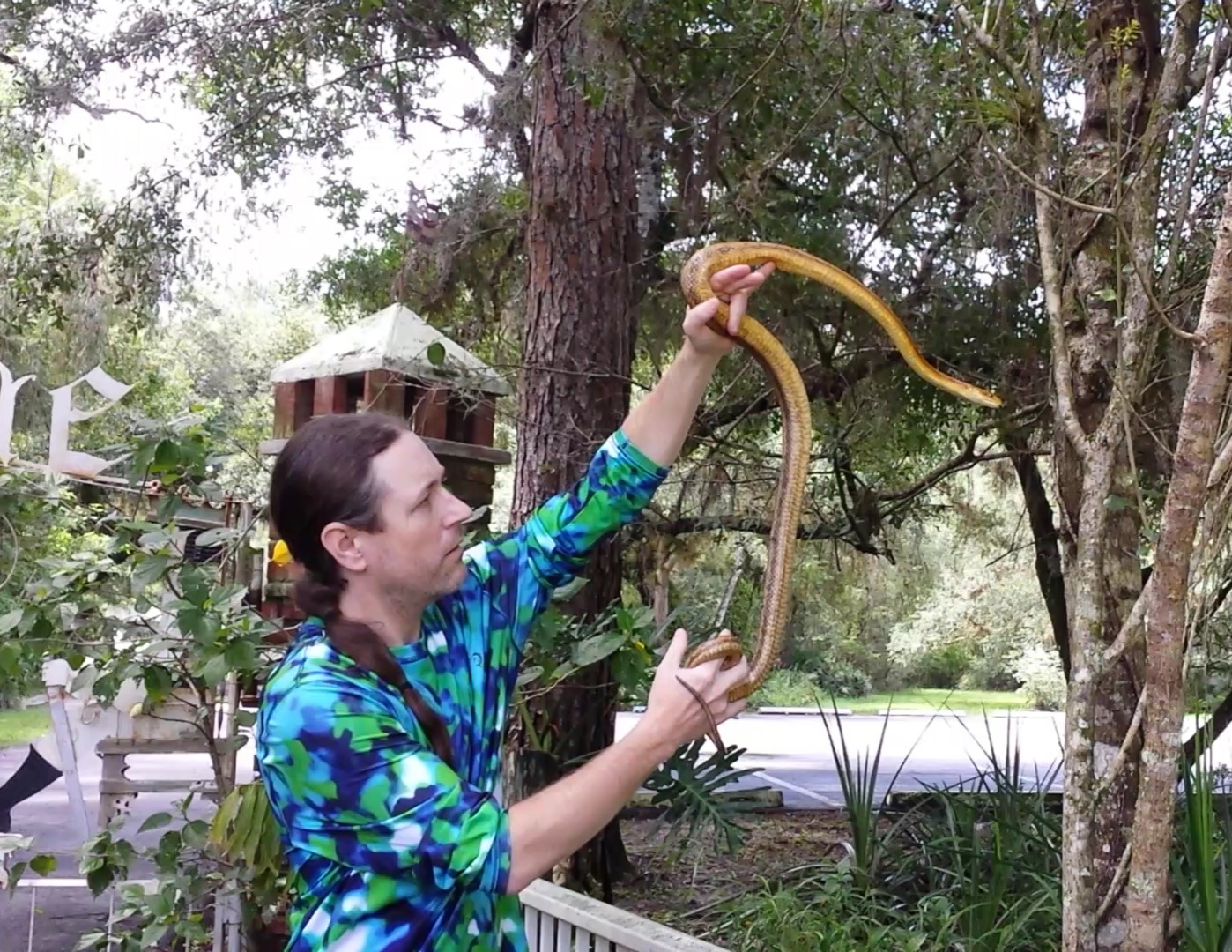 REPTILE AND AMPHIBIAN STUDY MERIT BADGE (VIRTUAL)